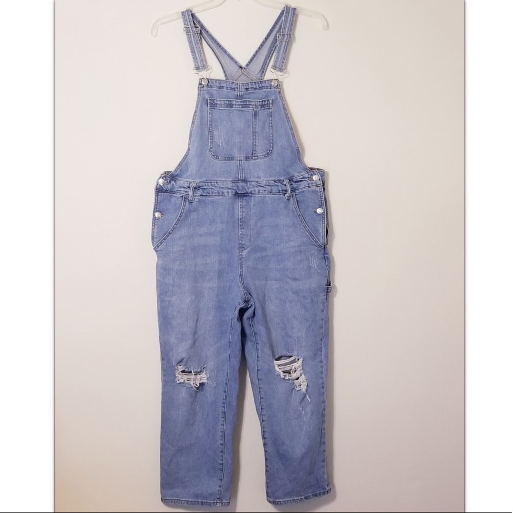 Wild Fable Over-Sized Distressed Overalls